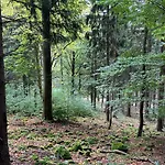 Dom Z Widokiem Villa Miszkowice