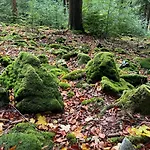 Willa Dom Z Widokiem Miszkowice