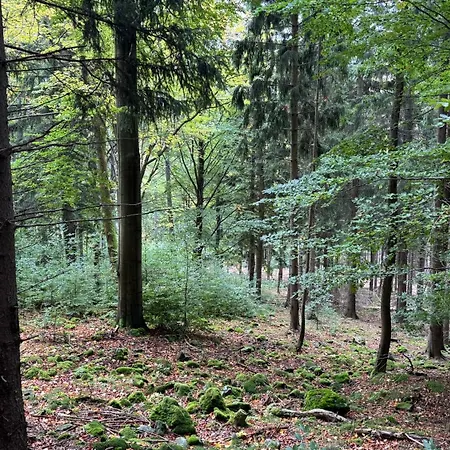 Dom Z Widokiem Βίλα Miszkowice