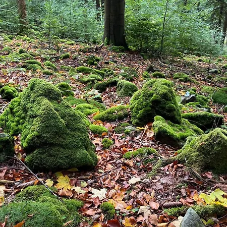 Villa Dom Z Widokiem Miszkowice