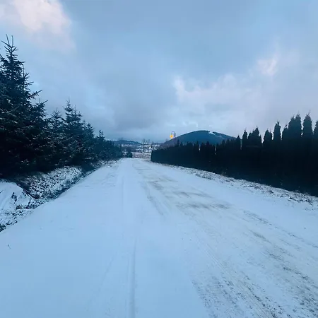 ヴィラ Dom Z Widokiem Miszkowice