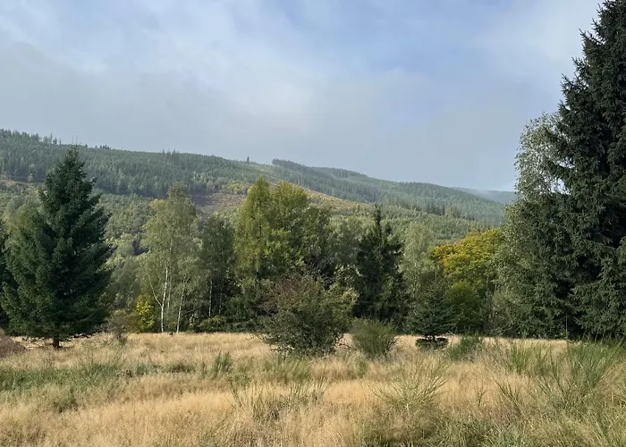 ヴィラ Dom Z Widokiem *