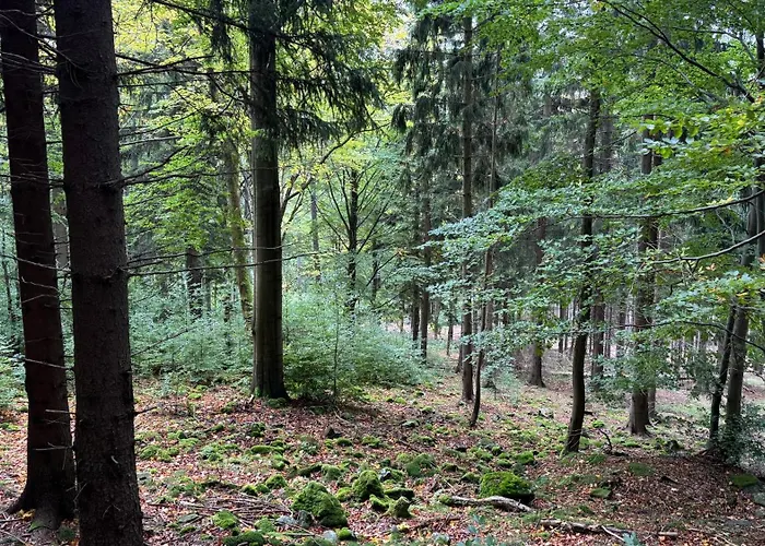 Dom Z Widokiem ヴィラ Miszkowice