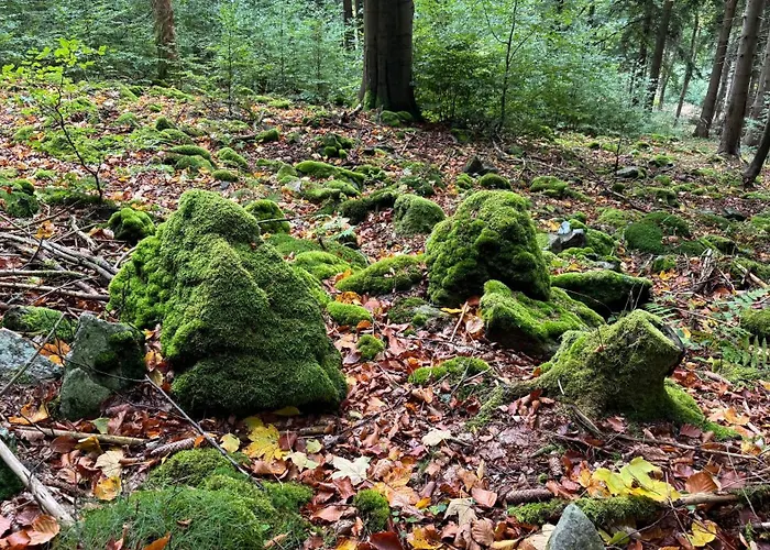 ヴィラ Dom Z Widokiem Miszkowice