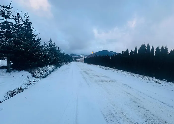 ヴィラ Dom Z Widokiem Miszkowice